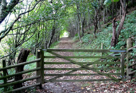 Cei Bach Walking Path near Gwarffynnon